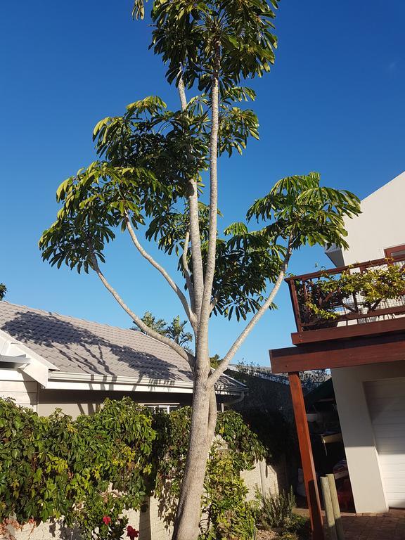 Founders Keepers - Leisure Isle Daire Knysna Dış mekan fotoğraf